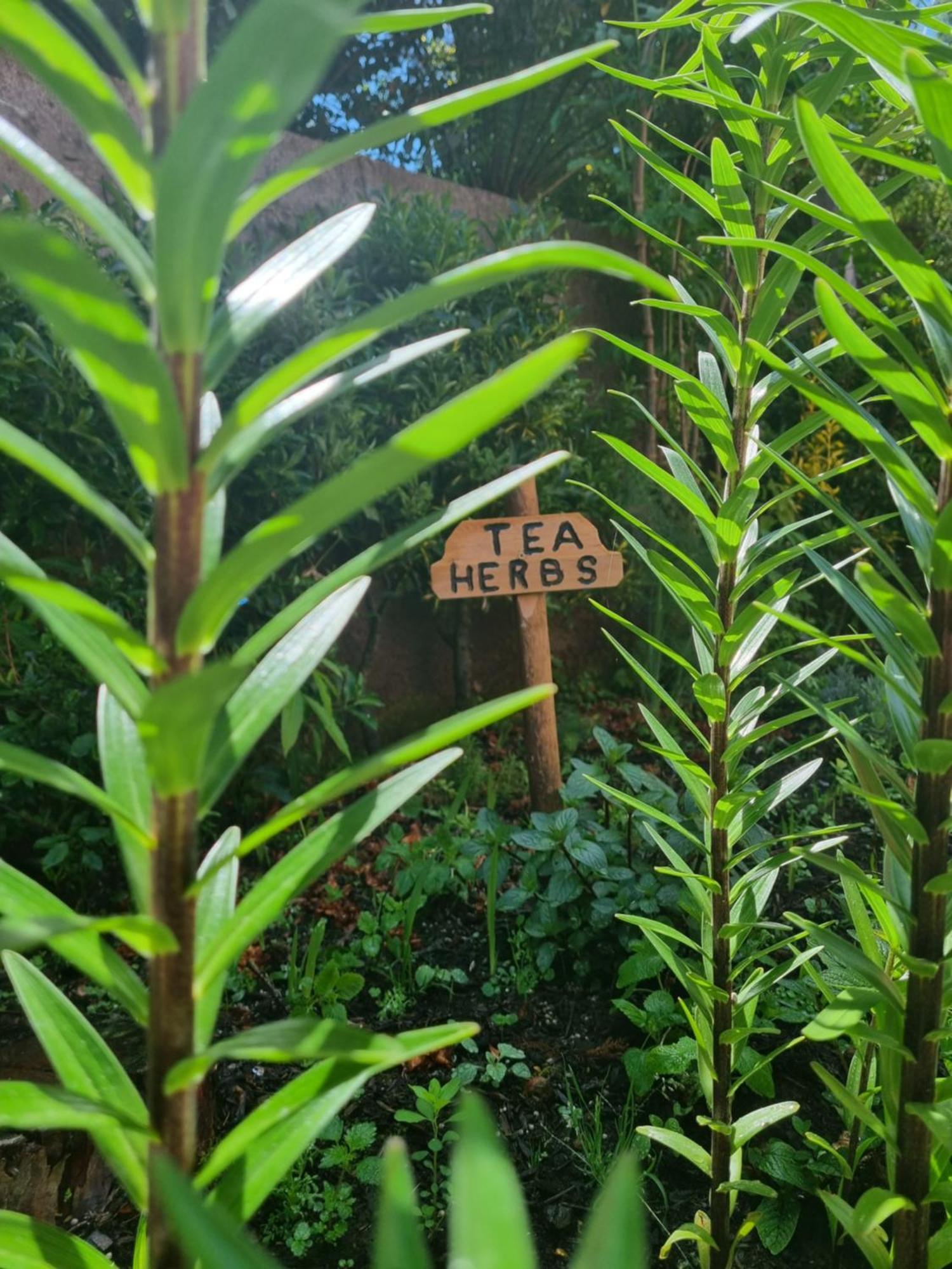 Abrigo Da Serra- Nature Trails Villa Santana  Luaran gambar